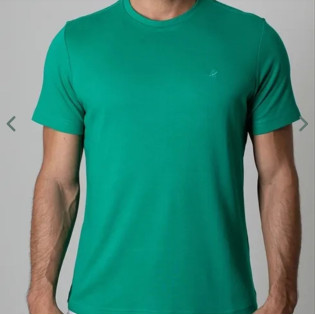 Camiseta Capal Gola Red mc - Polivis 065 Verde tm - g