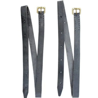 Loro Oleado Loro Oleado