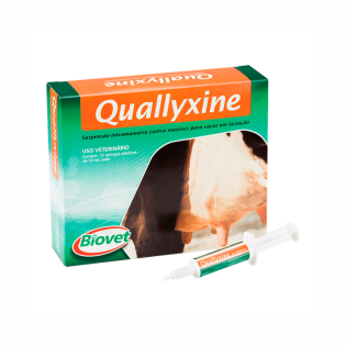 Quallyxine 10 ml (Cefalexina; Neomicina e Prednisolona)