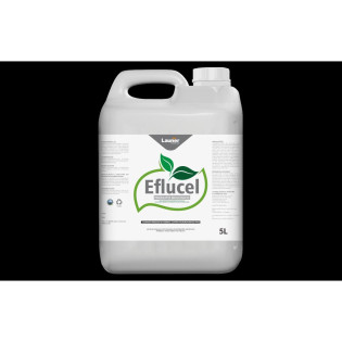 Eflucel 5l