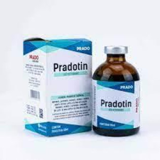 Pradotin- 50 ml (Hexametilenotetramina, Cafeína, Benzoato de Sódio)