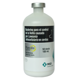 Vac.porcilis Ileitis - Msd 100ml