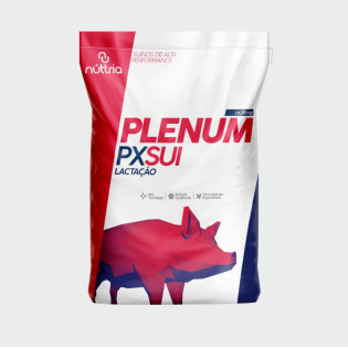 px Sui Top Aurora sr 3 Especial